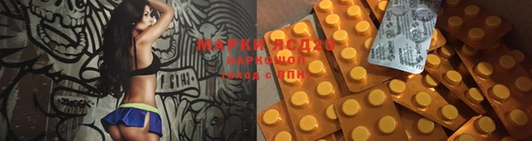 мяу мяу мука Белокуриха