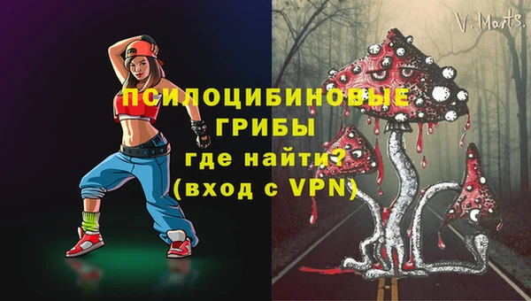 мяу мяу мука Белокуриха